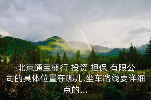  北京通寶盛行 投資 擔(dān)保 有限公司的具體位置在哪兒,坐車路線要詳細(xì)點的...