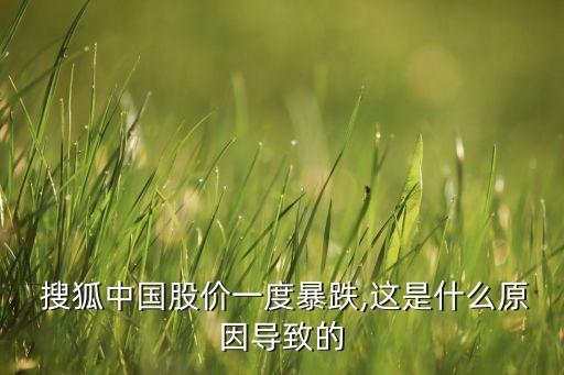  搜狐中國股價(jià)一度暴跌,這是什么原因?qū)е碌? class=