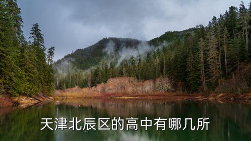 北京陳仲華,陳仲華的畫(huà)的價(jià)格