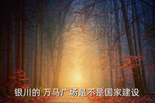 銀川的 萬(wàn)馬廣場(chǎng)是不是國(guó)家建設(shè)