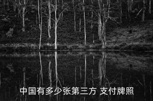 中國(guó)有多少?gòu)埖谌?支付牌照