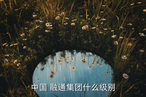中國 融通集團什么級別
