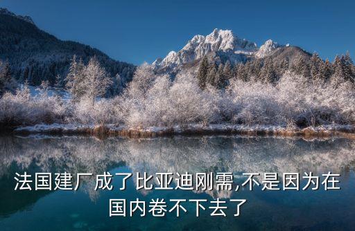 法國(guó)建廠成了比亞迪剛需,不是因?yàn)樵趪?guó)內(nèi)卷不下去了