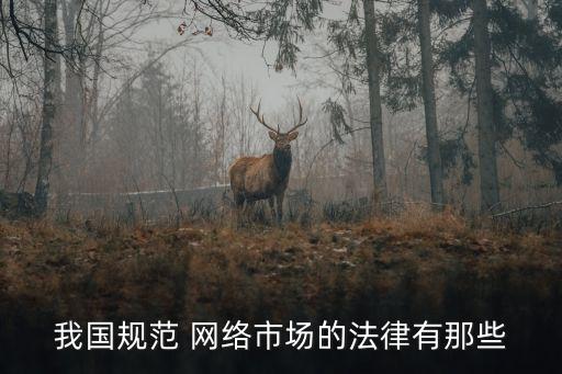 我國(guó)規(guī)范 網(wǎng)絡(luò)市場(chǎng)的法律有那些