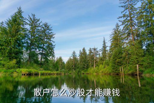 散戶(hù)怎么炒股才能賺錢(qián)