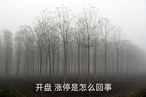 開(kāi)盤(pán)直接拉漲停的股票,股票重組后開(kāi)盤(pán)有漲停限制嗎