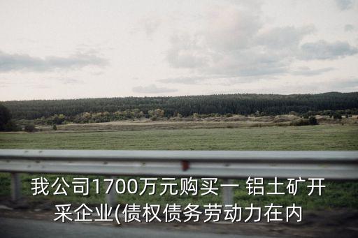 我公司1700萬元購買一 鋁土礦開采企業(yè)(債權債務勞動力在內(nèi)