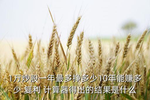 1萬炒股一年最多掙多少10年能賺多少 復利 計算器得出的結果是什么