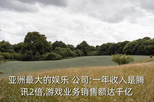 年?duì)I業(yè)額最高的公司,2022年公司營業(yè)額