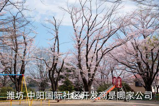 濰坊 中陽國際社區(qū)開發(fā)商是哪家公司