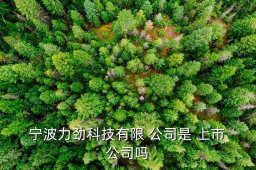 寧波公司上市,寧波上市汽車(chē)零部件公司