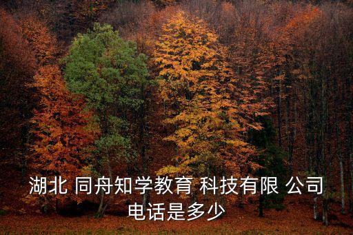 湖北 同舟知學(xué)教育 科技有限 公司電話是多少
