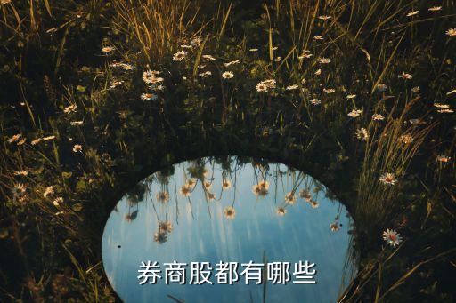 券商股都有哪些