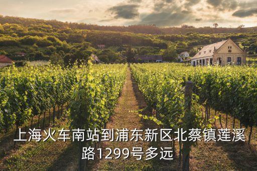  上?；疖嚹险镜狡謻|新區(qū)北蔡鎮(zhèn)蓮溪路1299號(hào)多遠(yuǎn)