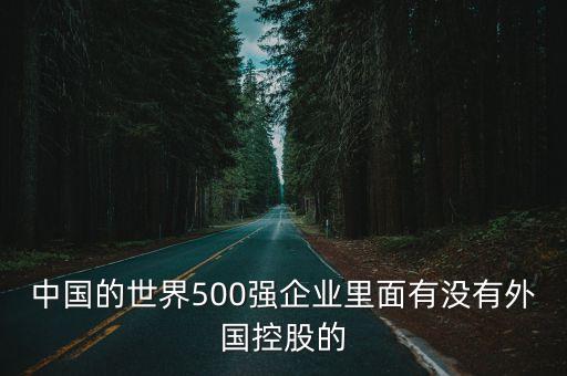 中國的世界500強企業(yè)里面有沒有外國控股的