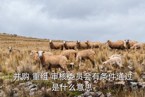  并購 重組 審核委員會有條件通過是什么意思