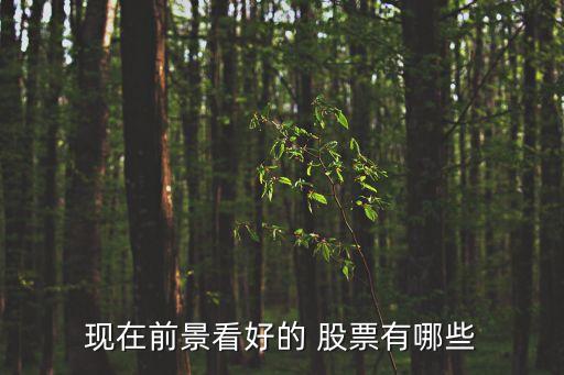現(xiàn)在前景看好的 股票有哪些