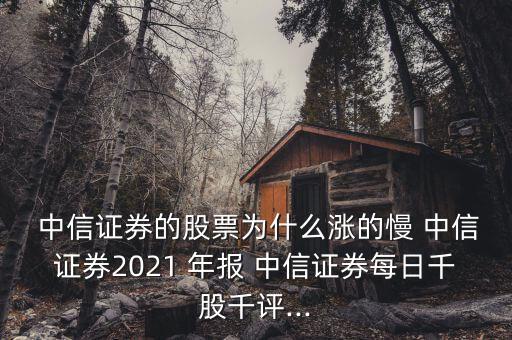 中信集團年報