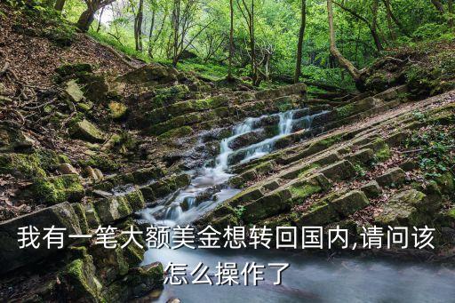 我有一筆大額美金想轉(zhuǎn)回國內(nèi),請(qǐng)問該怎么操作了