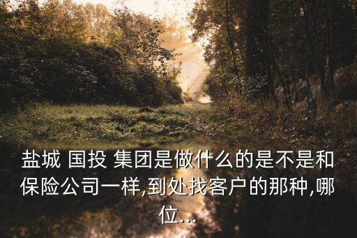 鹽城 國投 集團是做什么的是不是和保險公司一樣,到處找客戶的那種,哪位...