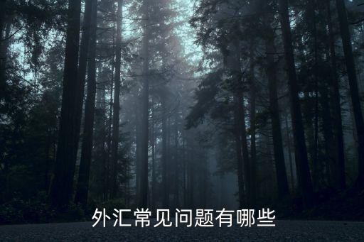 大型金融跨國集團外匯