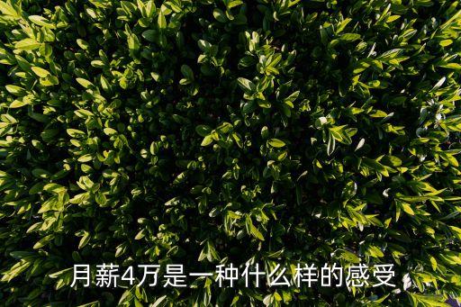  月薪4萬(wàn)是一種什么樣的感受