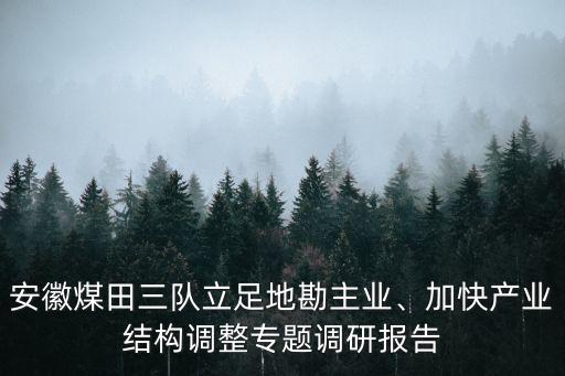 安徽煤田三隊(duì)立足地勘主業(yè)、加快產(chǎn)業(yè)結(jié)構(gòu)調(diào)整專(zhuān)題調(diào)研報(bào)告