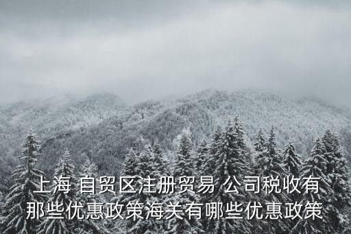  上海 自貿區(qū)注冊貿易 公司稅收有那些優(yōu)惠政策海關有哪些優(yōu)惠政策