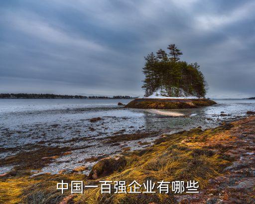 中國一百強(qiáng)企業(yè)有哪些