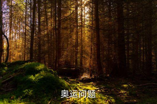 奧運(yùn)問(wèn)題