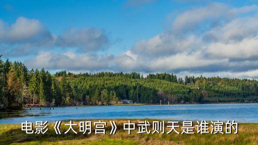電影《大明宮》中武則天是誰(shuí)演的