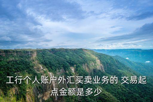 工行個(gè)人賬戶(hù)外匯買(mǎi)賣(mài)業(yè)務(wù)的 交易起點(diǎn)金額是多少