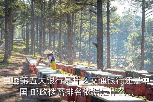 中國第五大銀行是什么交通銀行還是中國 郵政儲(chǔ)蓄排名依據(jù)是什么...