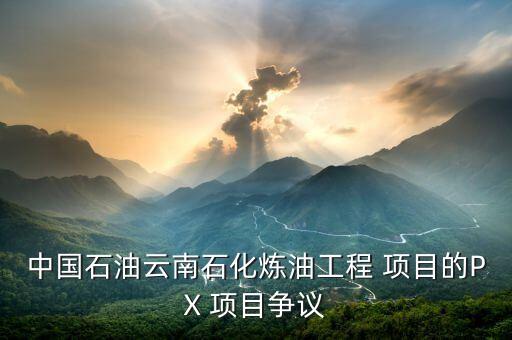 中國(guó)石油云南石化煉油工程 項(xiàng)目的PX 項(xiàng)目爭(zhēng)議