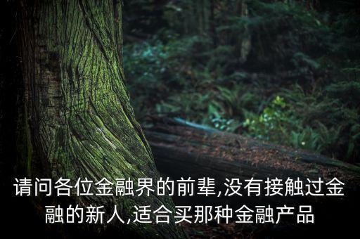 請(qǐng)問各位金融界的前輩,沒有接觸過金融的新人,適合買那種金融產(chǎn)品