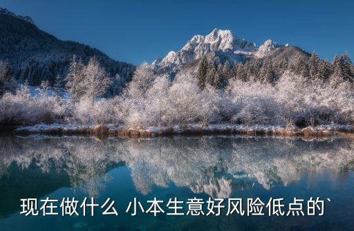 現(xiàn)在做什么 小本生意好風險低點的`