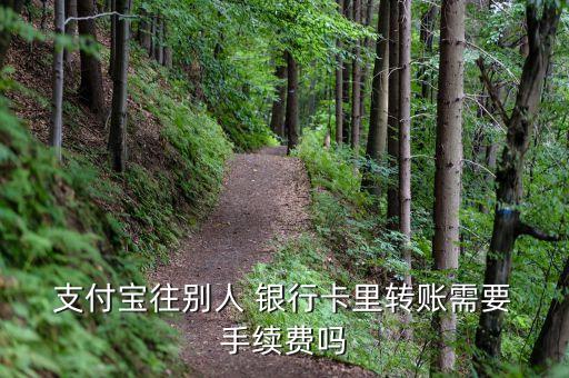  支付寶往別人 銀行卡里轉(zhuǎn)賬需要 手續(xù)費嗎