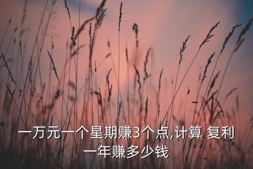 一萬元一個星期賺3個點,計算 復利一年賺多少錢