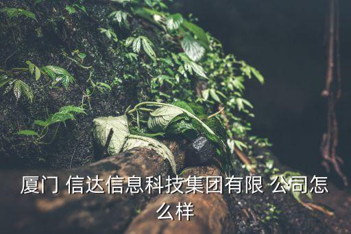 廈門(mén) 信達(dá)信息科技集團(tuán)有限 公司怎么樣