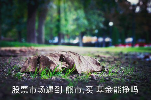 股票市場遇到 熊市,買 基金能掙嗎