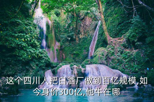 郎酒集團現(xiàn)任董事長,郎酒董事長汪俊林