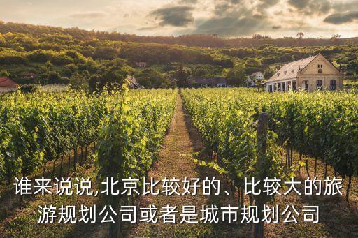 誰來說說,北京比較好的、比較大的旅游規(guī)劃公司或者是城市規(guī)劃公司