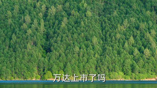  萬(wàn)達(dá)上市了嗎