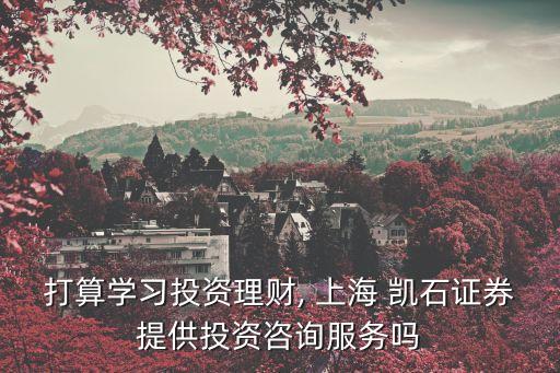 打算學(xué)習(xí)投資理財, 上海 凱石證券提供投資咨詢服務(wù)嗎