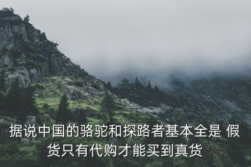 據(jù)說(shuō)中國(guó)的駱駝和探路者基本全是 假貨只有代購(gòu)才能買(mǎi)到真貨