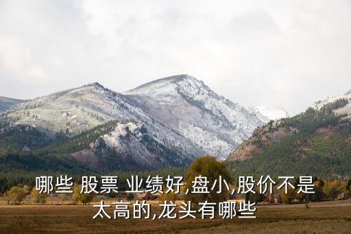哪些 股票 業(yè)績(jī)好,盤(pán)小,股價(jià)不是太高的,龍頭有哪些