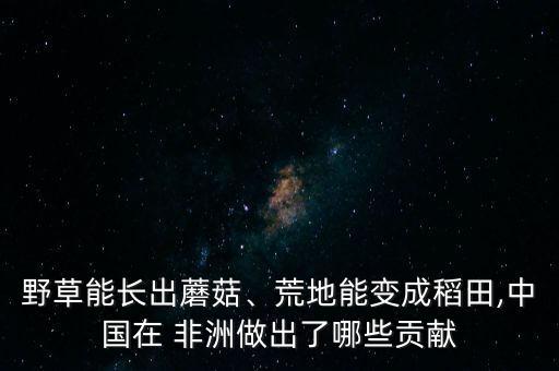 野草能長出蘑菇、荒地能變成稻田,中國在 非洲做出了哪些貢獻(xiàn)