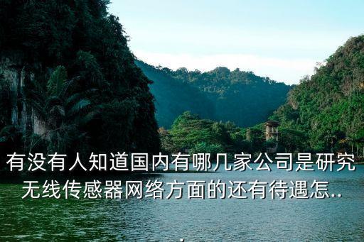 有沒(méi)有人知道國(guó)內(nèi)有哪幾家公司是研究無(wú)線傳感器網(wǎng)絡(luò)方面的還有待遇怎...