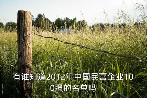 有誰知道2012年中國民營企業(yè)100強(qiáng)的名單嗎