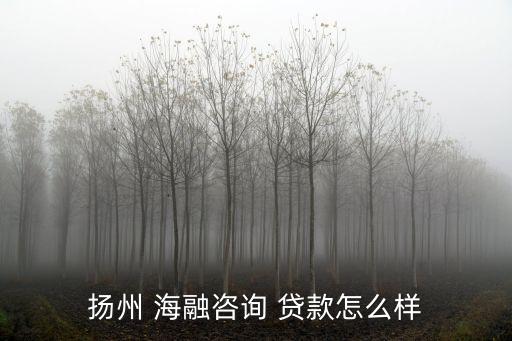 揚(yáng)州 海融咨詢(xún) 貸款怎么樣